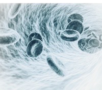 AUTOIMMUNE DISEASES
