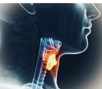 THYROID HORMONE DYSFUNCTION